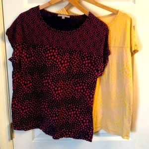 Lot of 2 GAP tee shirts